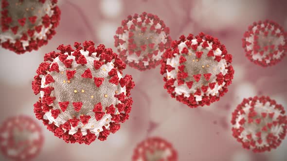 Virus Coronavirus