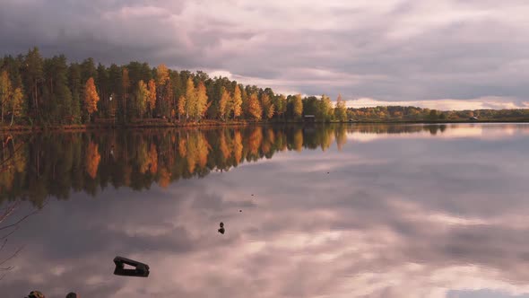 Lake shore on an autumn day