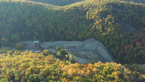 Gold Mining In The Forest 1 alt