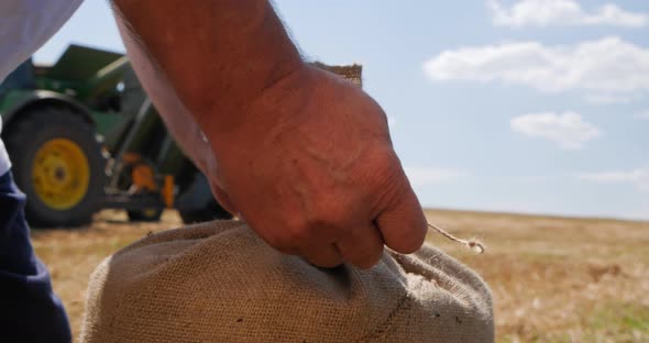 Wheat Field. Men's Hands Tie A Bag Of Wheat. Harvesting