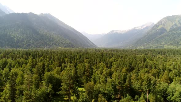 Aerial View Wild Green Forest with Mountains in the Background alt