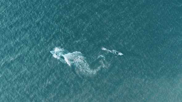 Two Boats Float in Different Directions in the Sea on the Waves