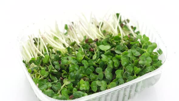 radish micro greens in container for delivery or sale on white background, rotate alt