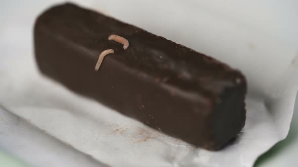 Larva on Damaged Chocolate Candy