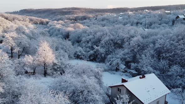 Aerial view of a drone flying over the winter forest. alt