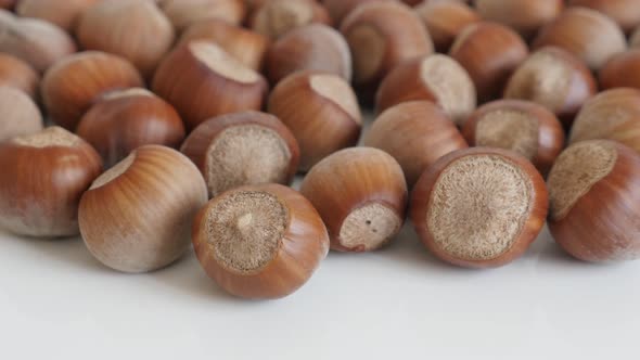 Whole Corylus avellana nuts close-up slow tilt 4K 2160p 30fps UltraHD footage - Organic hazelnuts on alt