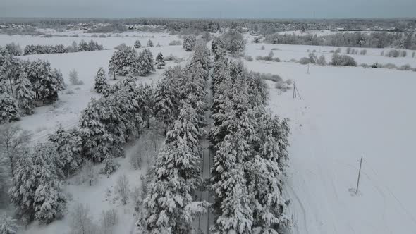 Winter railway in the forest – stock footage from drone alt
