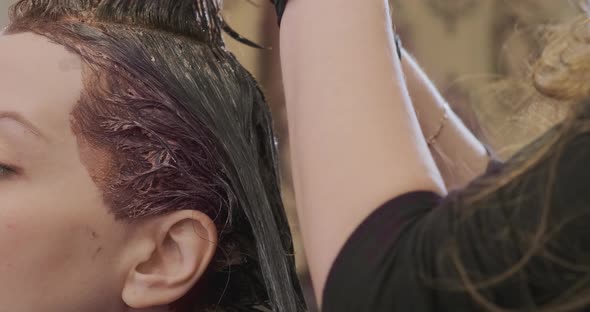 Apply Hair Bleach on Beauty Salon Visitor Head Closeup