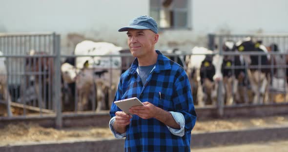 Farmer Using Digital Tablet While Looking at Cows alt