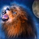 Lion - VideoHive Item for Sale
