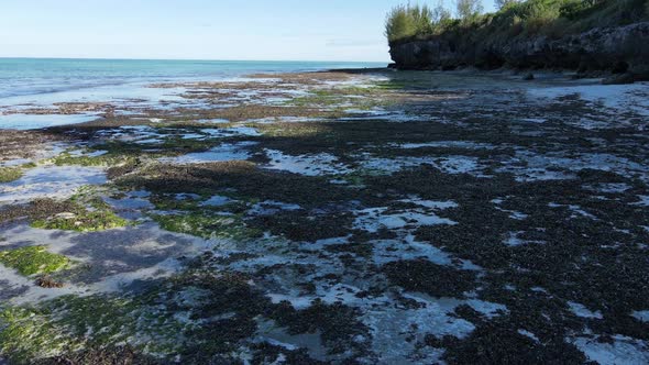 Low Tide in the Ocean Near the Coast of Zanzibar Island Tanzania alt