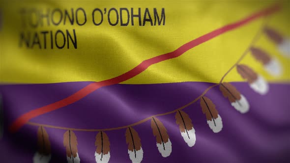 Flag Of The Tohono Oʼodham Nation Front