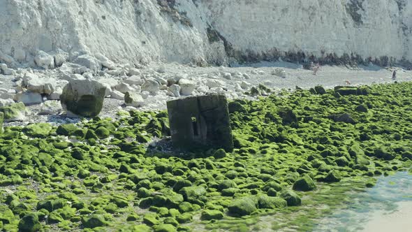Limestone and moss rocks on the beach 3, Cap Blanc Nez, France