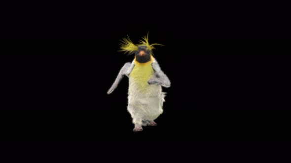 Penguin Dancing 4K alt