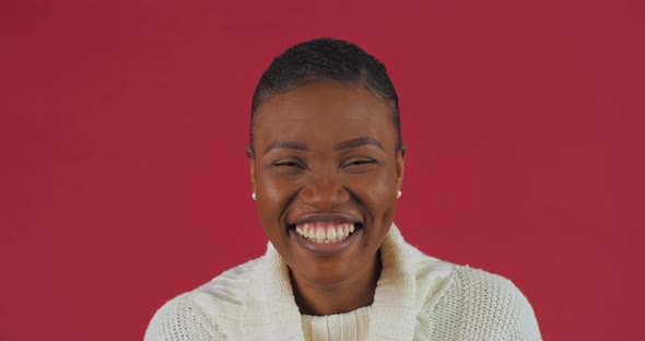 Studio Portrait Closeup Female Contented Happy Sincere Face African American Woman Laughing with alt
