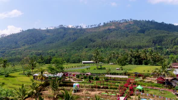 Exotic landscape of rice fields and garden in rural area Central Java, Indonesia alt