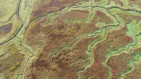 Aerial view of small stream crossing wetland, Netherlands. alt