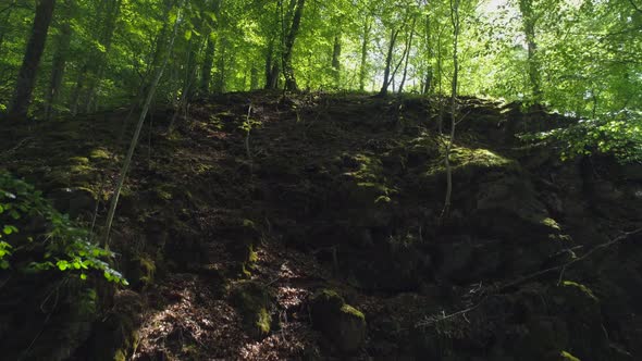 Drone Shot Flying up Over Rocky Hill in Forest