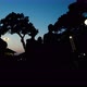 Silhouettes of People Walking in Urban Park at Sunset - VideoHive Item for Sale