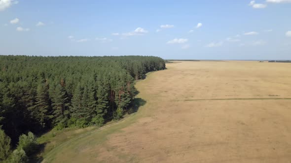 Flight Over Forest And Field