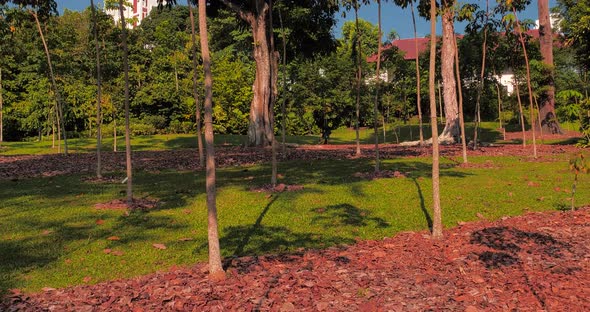 Walking Along High Slope Among Trees in Garden