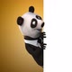 Fun panda - VideoHive Item for Sale
