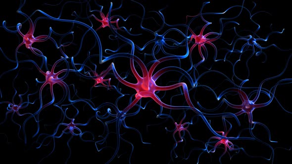 Neuron Cell