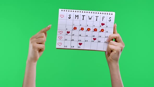 Female Hands Hold a Woman's Periods Calendar Isolated on Studio Green Screen Chroma Key Background alt