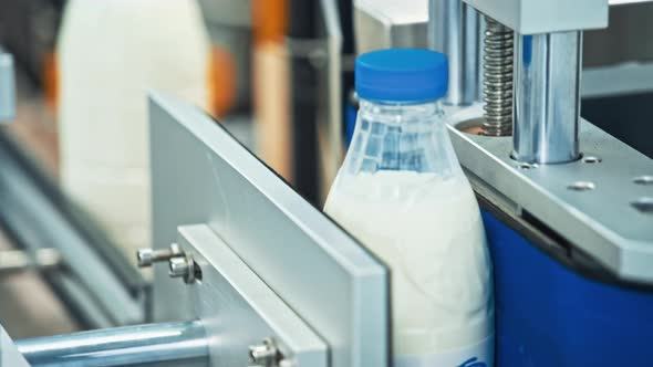 Milk Production at Factory alt