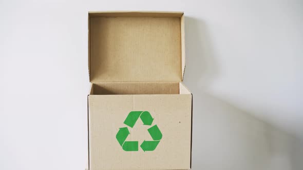 Waste Throwing in Recycle Box