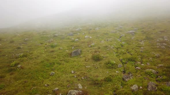 Foggy Plateau on Ground Nature Green Ayder Scenic, Rize, Turkey
