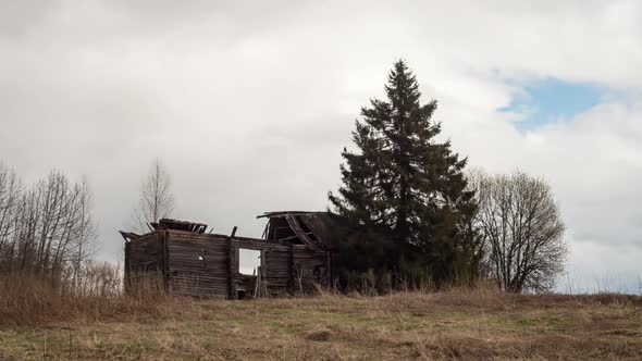 Ruins of abandoned rural house and tree in front of cloudy sky.