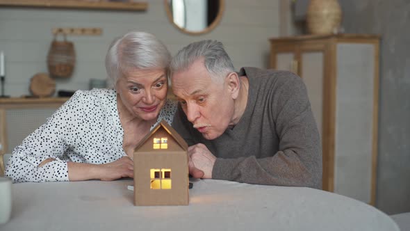 Elderly Man Created Model of Country House with Electricity for His Beloved Wife