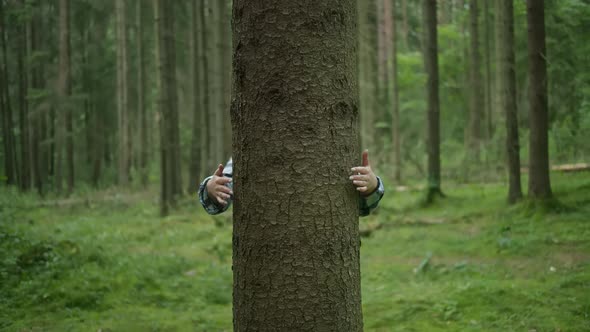 Arms Hugging a Tree In a Forest Concept of Love and Care for Nature