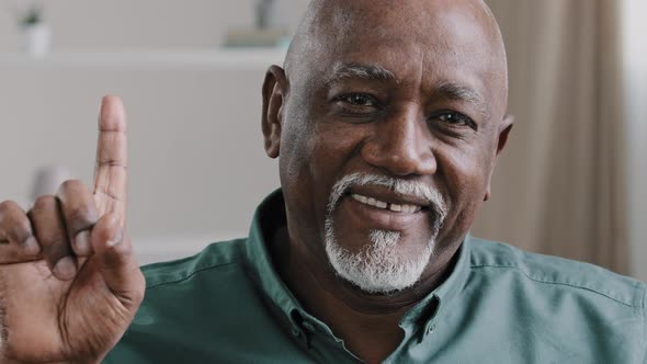 Headshot African American Old Senior Man Mature 60s Smiling Businessman Nod Yes Agree Biracial Male alt