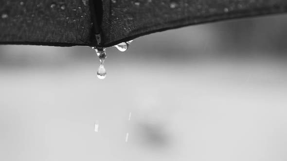 Close up view of rain drops falling from the edge of an umbrella