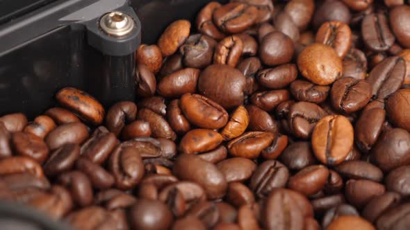 Coffee Beans Shaking in Coffee Machine While Grinding alt