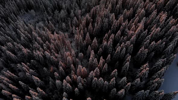 Aerial Flying Above Dark Winter Forest in Mountain Valley at Sunset