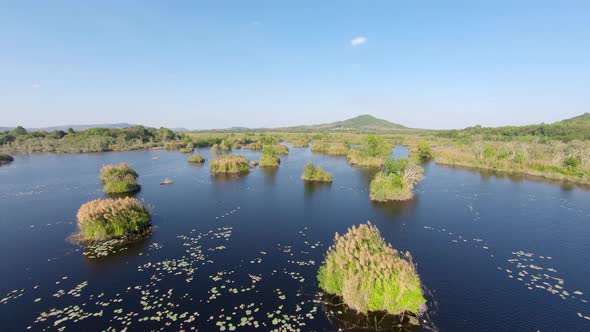 Aerial: Dolly out over a Botanical Garden lake with aquatic plants like lilies, lotus flowers and ot alt