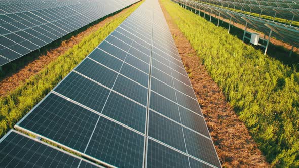 Aerial View Solar Power Station on Green Field at Sunset Solar Panels in Row alt