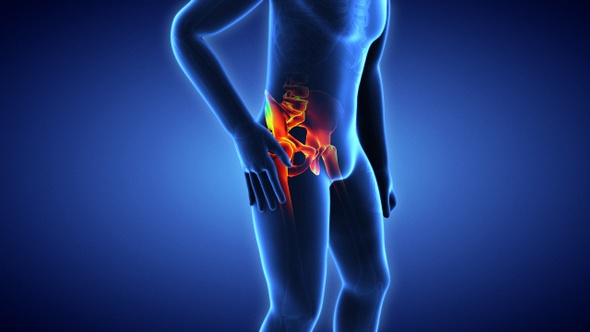 Injured Man Suffering From Pelvic Pain Or Hip Joint Injury