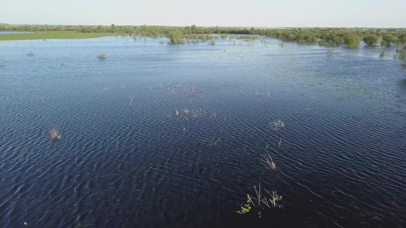 A Rural Field Flooded with Water in Spring Time