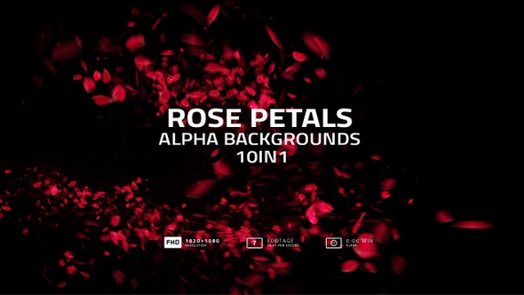 Rose Petals Alpha Backgrounds Pack 7in1