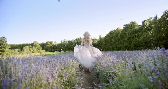 Cinematic View of Woman Run Colorful Lavender Fields on a Sunny Day Blooming Purple Flowers. alt