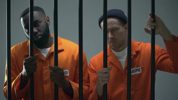 Caucasian and Afro-American Prisoners Holding Jail Bars and Looking to Camera alt