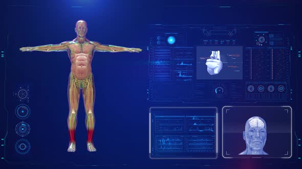 Human Medical HUD Animation 4K