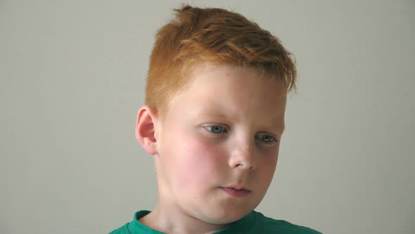Portrait of Pensive Red Hair Boy with Freckles Indoor alt