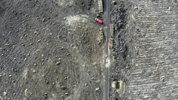 Deforestation, logging, environmental destruction. Aerial view from drone alt