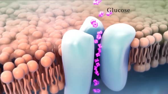 Diabetes is a metabolic disorder caused by high levels of blood sugar. alt