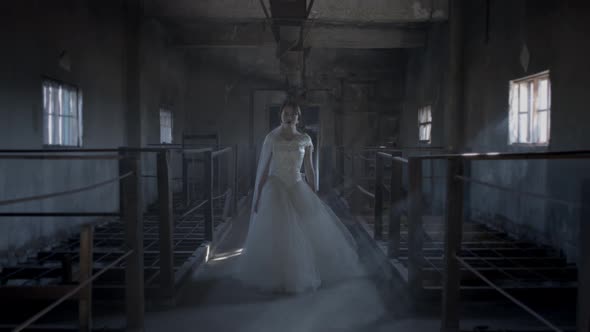 Bride in an abandoned place alt
